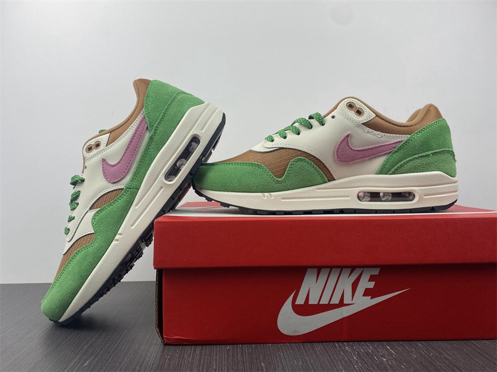 Nike Air Max 1 NH Treeline DR9773-300